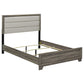 Wright 50-inch Upholstered California King Bed Brown Oak